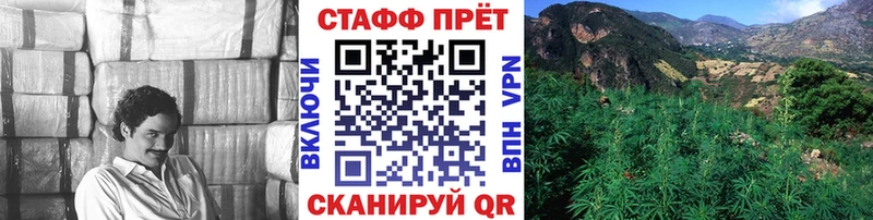 Где купить наркотики Орехово-Зуево Канабис  Псилоцибиновые грибы  МЕФ  А ПВП 