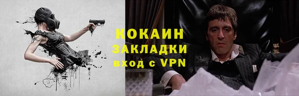 a pvp Алзамай