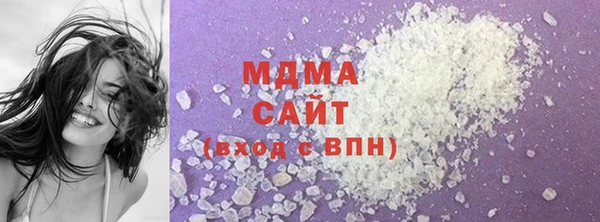 гашик Алексин