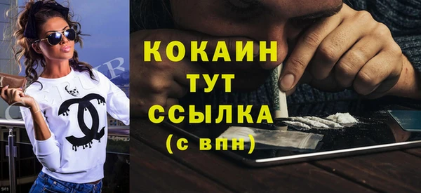 гашик Алексин